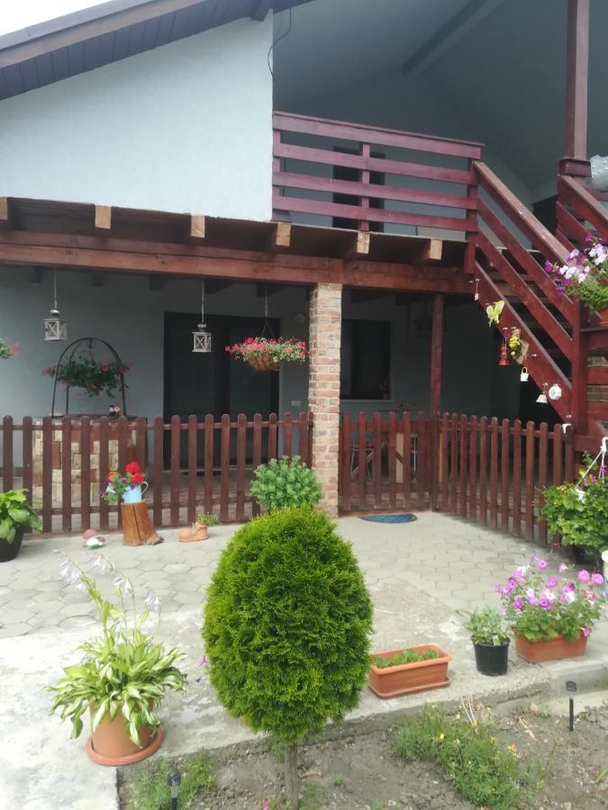 Casa Ricciotti Villa Alsódetrehem Kültér fotó