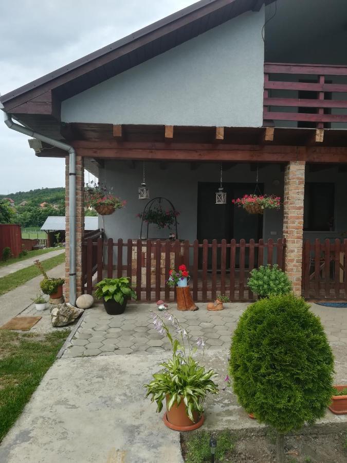 Casa Ricciotti Villa Alsódetrehem Kültér fotó