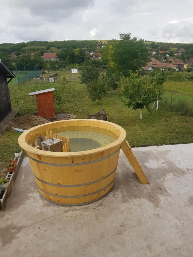 Casa Ricciotti Villa Alsódetrehem Kültér fotó